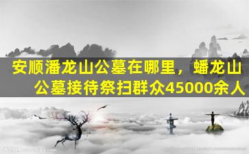 安顺潘龙山公墓在哪里，蟠龙山公墓接待祭扫群众45000余人