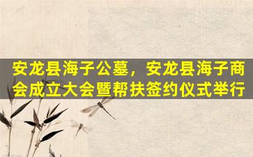 安龙县海子公墓，安龙县海子商会成立大会暨帮扶签约仪式举行