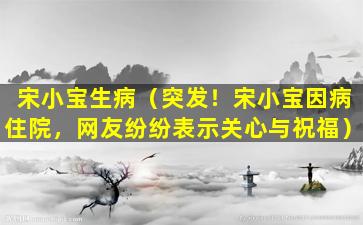 宋小宝生病（突发！宋小宝因病住院，网友纷纷表示关心与祝福）