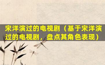 宋洋演过的电视剧（基于宋洋演过的电视剧，盘点其角色表现）
