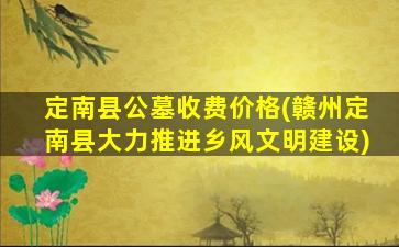 定南县公墓收费价格(赣州定南县大力推进乡风文明建设)