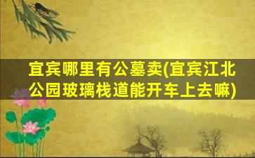 宜宾哪里有公墓卖(宜宾江北公园玻璃栈道能开车上去嘛)