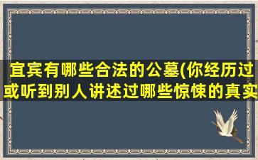 宜宾有哪些合法的公墓(你经历过或听到别人讲述过哪些惊悚的真实故事)