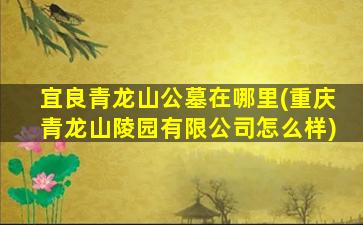 宜良青龙山公墓在哪里(重庆青龙山陵园有限公司怎么样)