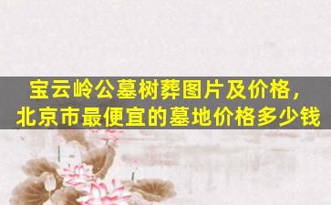 宝云岭公墓树葬图片及价格，北京市最便宜的墓地价格多少钱