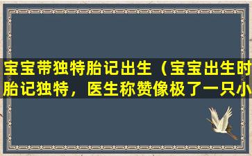 宝宝带独特胎记出生（宝宝出生时胎记独特，医生称赞像极了一只小老虎）