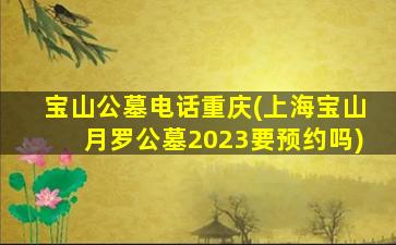 宝山公墓电话重庆(上海宝山月罗公墓2023要预约吗)
