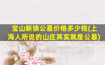 宝山新镇公墓价格多少钱(上海人所说的山庄其实就是公墓)