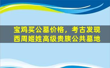 宝鸡买公墓价格，考古发现西周姬姓高级贵族公共墓地