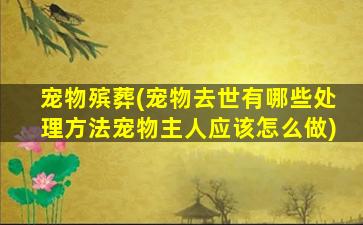 宠物殡葬(宠物去世有哪些处理方法宠物主人应该怎么做)