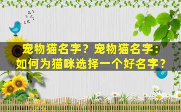 宠物猫名字？宠物猫名字：如何为猫咪选择一个好名字？