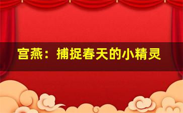 宫燕：捕捉春天的小精灵