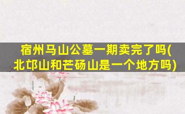 宿州马山公墓一期卖完了吗(北邙山和芒砀山是一个地方吗)