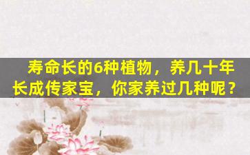 寿命长的6种植物，养几十年长成传家宝，你家养过几种呢？