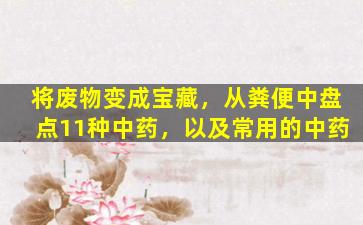 将废物变成宝藏，从粪便中盘点11种中药，以及常用的中药