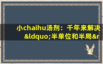 小chaihu汤剂：千年来解决“半单位和半局”问题