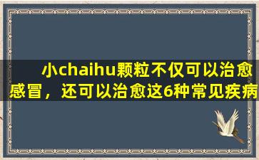 小chaihu颗粒不仅可以治愈感冒，还可以治愈这6种常见疾病。一个人可以学会使整个家庭受益。