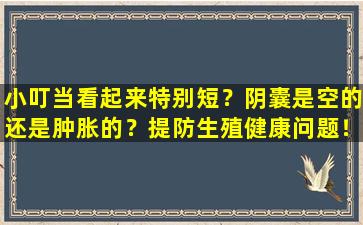 小叮当看起来特别短？阴囊是空的还是肿胀的？提防生殖健康问题！