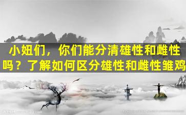 小妞们，你们能分清雄性和雌性吗？了解如何区分雄性和雌性雏鸡