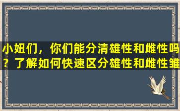 小妞们，你们能分清雄性和雌性吗？了解如何快速区分雄性和雌性雏鸡
