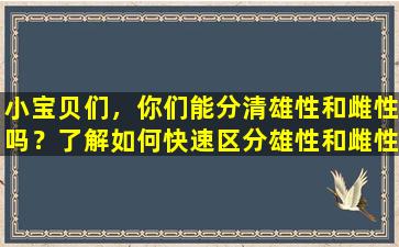 小宝贝们，你们能分清雄性和雌性吗？了解如何快速区分雄性和雌性雏鸡