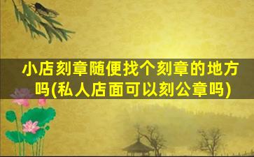 小店刻章随便找个刻章的地方吗(私人店面可以刻公章吗)