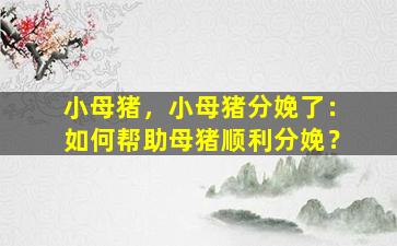 小母猪，小母猪分娩了：如何帮助母猪顺利分娩？