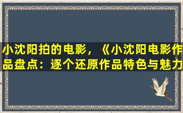 小沈阳拍的电影，《小沈阳电影作品盘点：逐个还原作品特色与魅力》
