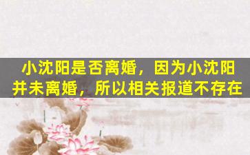 小沈阳是否离婚，因为小沈阳并未离婚，所以相关报道不存在