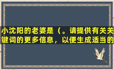 小沈阳的老婆是（。请提供有关关键词的更多信息，以便生成适当的标题。）