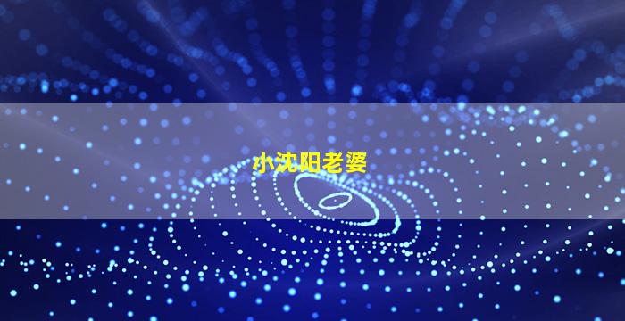 小沈阳老婆