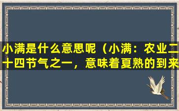 小满是什么意思呢（小满：农业二十四节气之一，意味着夏熟的到来）