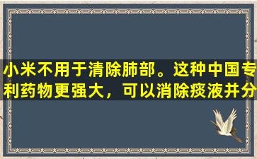 小米不用于清除肺部。这种中国专利药物更强大，可以消除痰液并分散结，用一块石头杀死两只鸟！