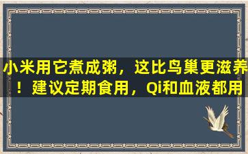 小米用它煮成粥，这比鸟巢更滋养！建议定期食用，Qi和血液都用于滋养脸部的肤色。