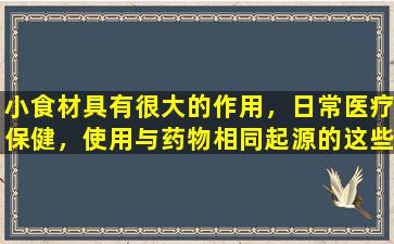 小食材具有很大的作用，日常医疗保健，使用与药物相同起源的这些中药