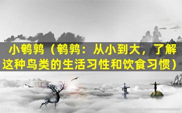 小鹌鹑（鹌鹑：从小到大，了解这种鸟类的生活习性和饮食习惯）