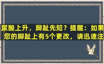 尿酸上升，脚趾先知？提醒：如果您的脚趾上有5个更改，请迅速注意它们！