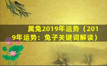 属兔2019年运势（2019年运势：兔子关键词解读）