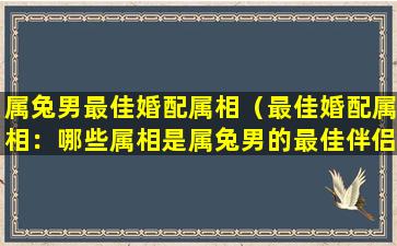 属兔男最佳婚配属相（最佳婚配属相：哪些属相是属兔男的最佳伴侣？）