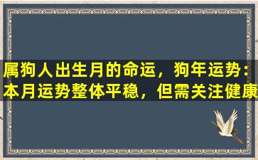 属狗人出生月的命运，狗年运势：本月运势整体平稳，但需关注健康。