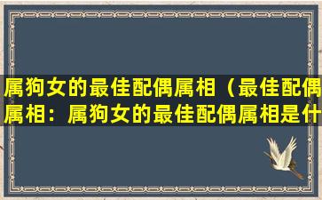 属狗女的最佳配偶属相（最佳配偶属相：属狗女的最佳配偶属相是什么？）