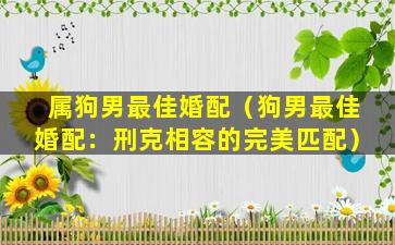 属狗男最佳婚配（狗男最佳婚配：刑克相容的完美匹配）