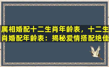 属相婚配十二生肖年龄表，十二生肖婚配年龄表：揭秘爱情搭配绝佳时