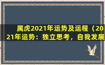 属虎2021年运势及运程（2021年运势：独立思考，自我发展）