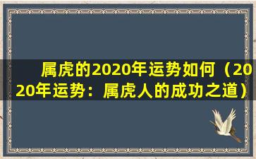 属虎的2020年运势如何（2020年运势：属虎人的成功之道）