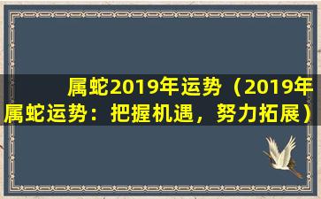 属蛇2019年运势（2019年属蛇运势：把握机遇，努力拓展）