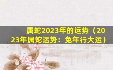属蛇2023年的运势（2023年属蛇运势：兔年行大运）