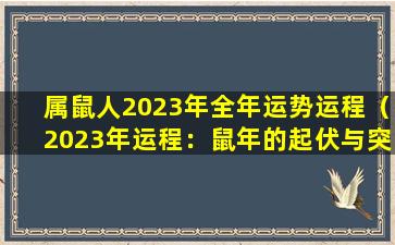 属鼠人2023年全年运势运程（2023年运程：鼠年的起伏与突破）