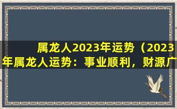 属龙人2023年运势（2023年属龙人运势：事业顺利，财源广进）