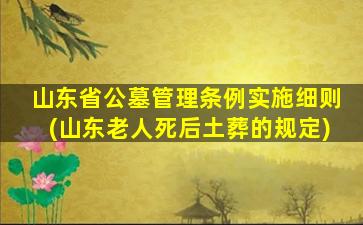山东省公墓管理条例实施细则(山东老人死后土葬的规定)